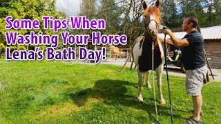 Some Tips When Washing Your Horse Lenas Bath Day [upl. by Stronski]