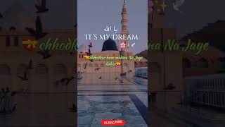 Humne Mana ki Jannat bahut hai hasi Islamic short naat islamic ringtone quotes [upl. by Paulo]