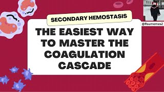 Secondary Hemostasis The Coagulation Cascade is EASIER THAN EVER 🧠🩸 [upl. by Nosnibor]