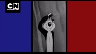 Cartoon Network  Groovies Pepe le Pew Lamour A Une Odeur  2010 [upl. by Grory]