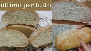 PANE COMODO Fatto in casa per voiSoft bread [upl. by Neeruan]