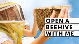 OPEN A BEEHIVE WITH ME  BEEKEEPING 101  Easy Beekeeping [upl. by Armat170]