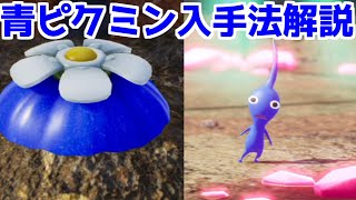 【ピクミン4 体験版】青ピクミンの入手法 青オニオンの運び方 紹介 [upl. by Ullund]