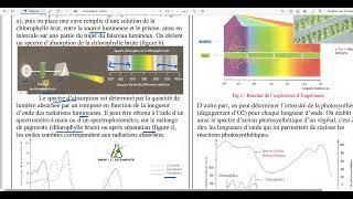 94  Le spectre dabsorption de la chlorophylle brute [upl. by Gaven]