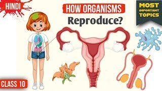 How Do Organisms Reproduce Class 10 How Do Organisms Reproduce Class 10 One Shot Chapter 8 [upl. by Kerns390]