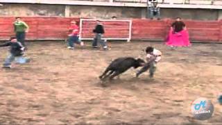 toros de mi pueblo vol 9 8 HD [upl. by Locklin]