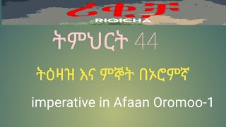 lesson 44 imperatives in Afaan Oromoo1 order and wish to 1st and 3rd parson pronouns [upl. by Serene]