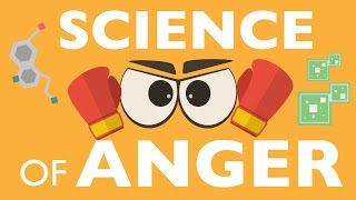 THE SCIENCE OF ANGER [upl. by Joliet]