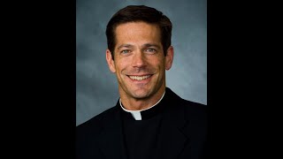 Fr Mike Schmitz on August 8 2023  AIP Speaker Series [upl. by Dazhahs984]