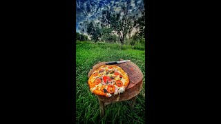 1000 F Wood Fired Pizza Oven [upl. by Ardyaf]