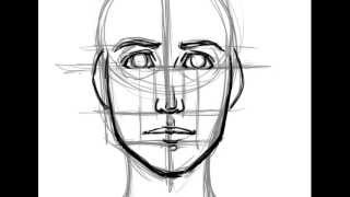 How to Draw a Face Basic Proportions [upl. by Arual32]