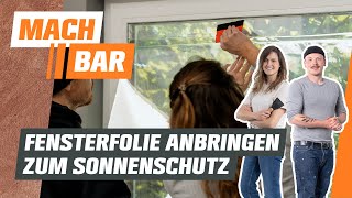 Fensterfolie anbringen zum Sonnenschutz  OBI [upl. by Hermione]