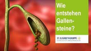 Wie entstehen Gallensteine [upl. by Sutelc]