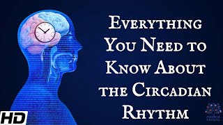 Everything You Need To Know About The Circadian Rythm [upl. by Tiny685]