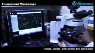 Fluorescent Microscope [upl. by Kreis293]