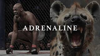 ADRENALINE  Best Motivational Speeches [upl. by Tempa]