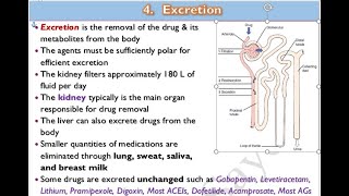 🔴 11 Excretion of drugs DrHazem Sayed [upl. by Nnahgem]