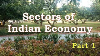 Sectors of Indian Economy  Class 10  Economics  Part 1 [upl. by Andromache910]