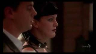 NCIS  funny video Gibbs Ziva Tony Abby McGee [upl. by Tisha]