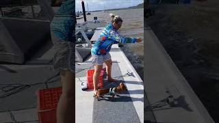 Jetty fishing and trying to stop the dog from attacking the fish was challenging fishing [upl. by Llenart]