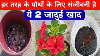 हर तरह के पौधों के लिए संजीवनी है ये 2 जादुई खाद gardening fertilizer [upl. by Aihselat]