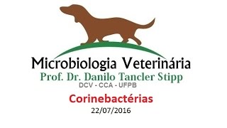 Micro Vet 20161 Aula 03  Corinebactérias [upl. by Stephie]