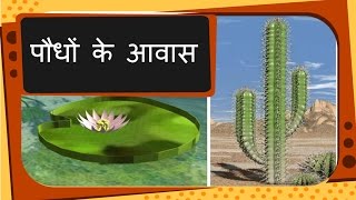 Science  Plant Habitat and adaptation  Hindi [upl. by Klapp292]