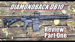 Diamondback DB10 Review My First AR10308 [upl. by Sel]