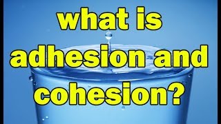 What is Adhesion and Cohesion forces in hindi  Explain Adhesion and Cohesion Forces [upl. by Rosenthal]