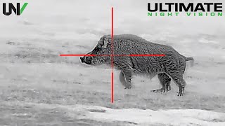 Hunting Big Boars with High Definition Thermal 1280x1024 [upl. by Angy]