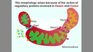 Exercise is Medicine Current Insights from CM Tiptons Scientific Grandchildren [upl. by Ion]