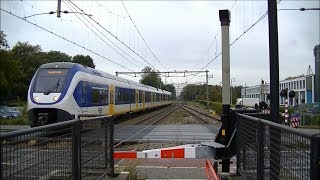 Spoorwegovergang DriebergenZeist  Dutch railroad crossing [upl. by Mctyre593]