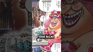 BIG MOM CONOCÍA SOBRE LA RAZA BUCCANEER  Las tres razas faltantes de Totto Land onepiece shorts [upl. by Rashidi]