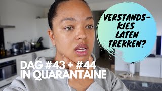 VERSTANDSKIES LATEN TREKKEN amp KLUSSEN IN DE REGEN  IN QUARANTAINE DAILY VLOG 124 125 TJINDJARA [upl. by Collbaith]