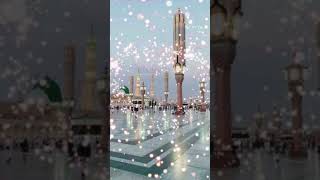 Kistara Jaaun Madina Sorkar  Aaj Sabse Apna Nata Torkar newqawwali like subscribe short 😭😭😭 [upl. by Aelber]