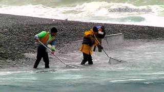 Whitebait Scoop Netting Rakaia River Mouth Fishing [upl. by Allimaj]