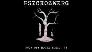 Psychozwerg  Splitter Extratone Mix Session 22 Min Mix [upl. by Parcel]