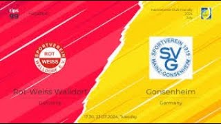 RotWeiss Walldorf vs Gonsenheim live stream – 23072024 [upl. by Nolyag]