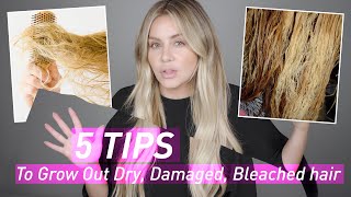 5 Tips to Grow Out Dry Damaged amp Bleached Hair [upl. by Millford]