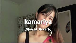 kamariya SlowedReverb Trending Song🎵🖤 [upl. by Philipps814]