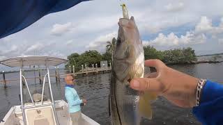 Caloosahatchee River Fishing by Boat [upl. by Jarita]