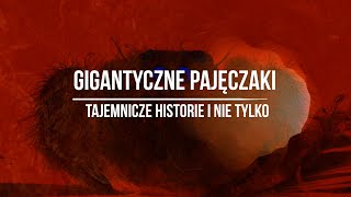 128 Kryptozoologia  Gigantyczne Pajęczaki Tajemnicze Historie i Nie Tylko [upl. by Nickelsen]