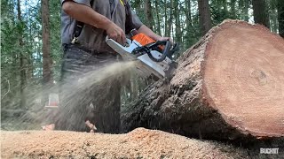 Modified STIHL MS362c and McCULLOCH Pro Mac 850  cutting large logs [upl. by Haridan]