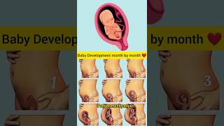 Month by month cute little baby growing in moms belly ❤️🤰shortvideo pregnant baby [upl. by Sochor]