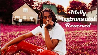 Playboi Carti  Molly Instrumental Reversed  Slowed [upl. by Wollis]