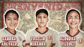 LAS 3 PRIMERAS CONTRATACIONES DE UNIVERSITARIO PARA EL CENTENARIO EN EL FÚTBOL FEMENINO [upl. by Eelsew]