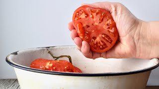 SAVING TOMATO SEEDS at home like a pro [upl. by Sara-Ann]