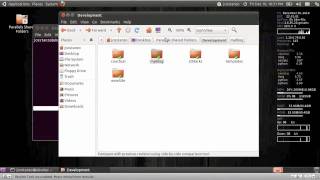 RabbitVCS SVN Client Linux [upl. by Nerrot]