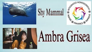 Shy Mammal  Ambra Grisea [upl. by Eenalem315]