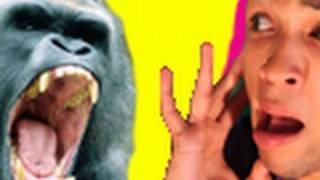 GORILLA vs BANANA Simon Desue [upl. by Magdalene]